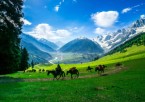 Srinagar-Kashmir 6 Days Tour Package