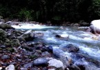 Jibhi (Tirthan Valley, Shoja, Jalori Pass) Tour